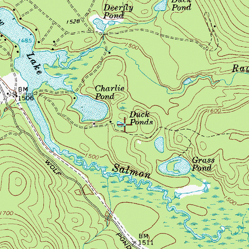 Topographic Map of Duck Ponds, NY