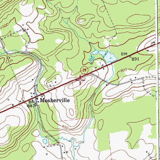 Topographic Map of Dudley Brook, NY