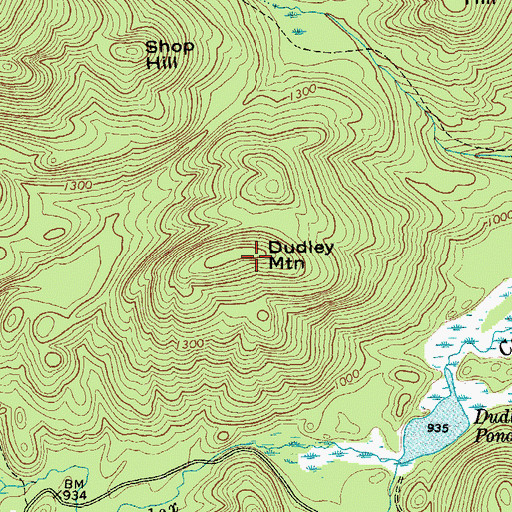 Topographic Map of Dudley Mountain, NY