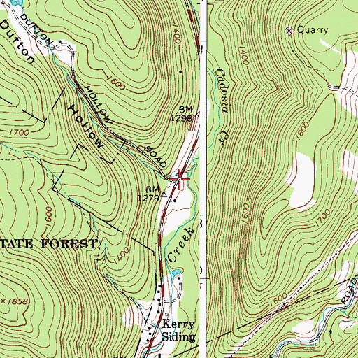 Topographic Map of Dufton Hollow, NY