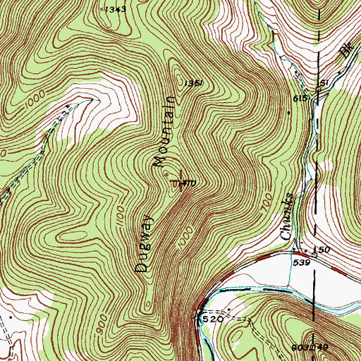 Topographic Map of Dugway Mountain, NY