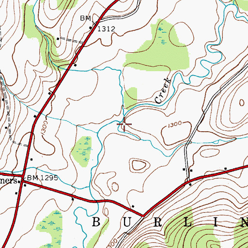 Topographic Map of Dundee Brook, NY