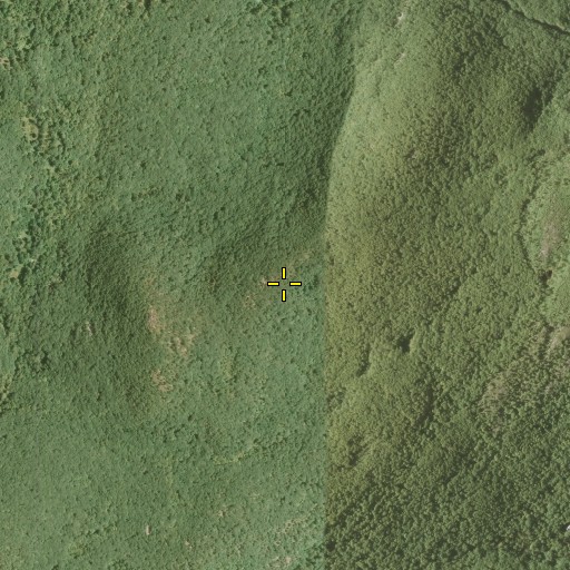 Aerial/Satellite Image of Dunderberg Mountain, NY