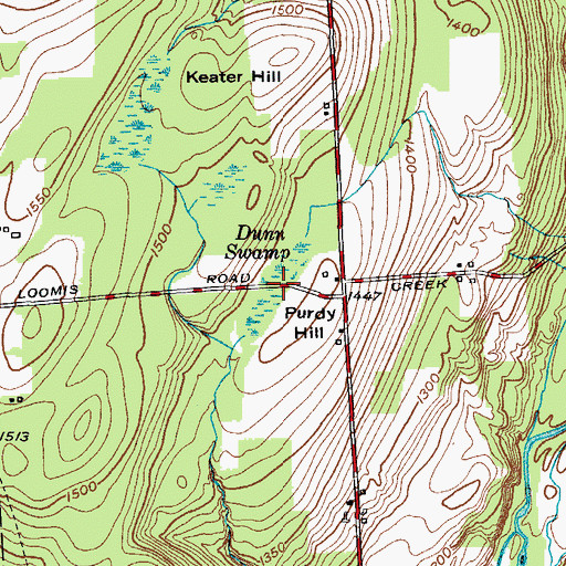 Topographic Map of Dunn Swamp, NY