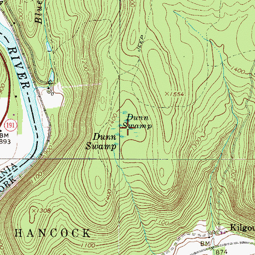 Topographic Map of Dunn Swamp, NY
