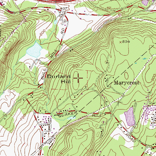 Topographic Map of Durland Hill, NY