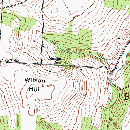 Topographic Map of Durnian Cemetery, NY