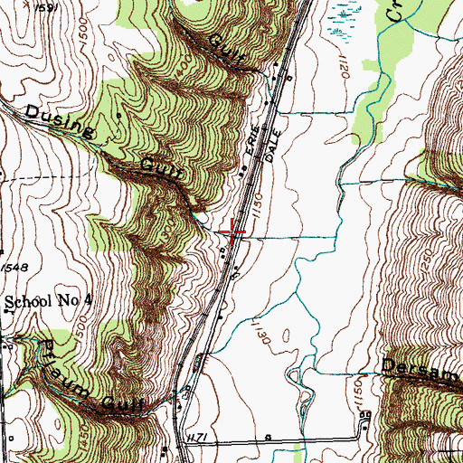 Topographic Map of Dusing Gulf, NY