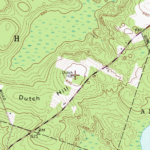 Topographic Map of Dutch Hill, NY