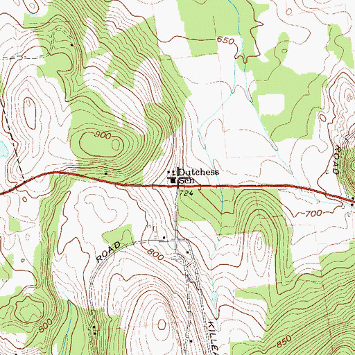 Topographic Map of Dutchess Day School, NY