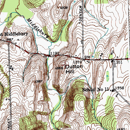 Topographic Map of Dutton Hill, NY
