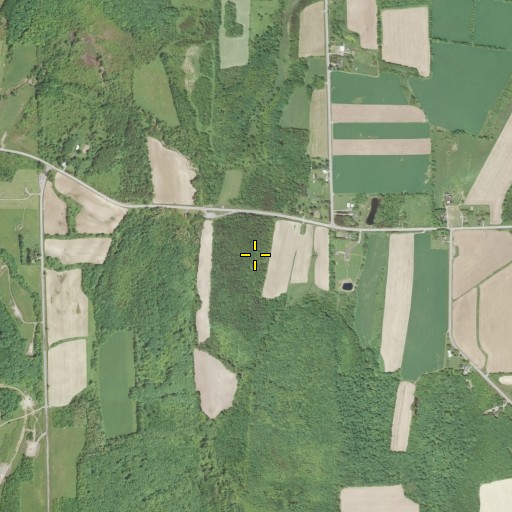 Aerial/Satellite Image of Dutton Hill, NY