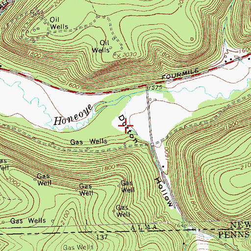 Topographic Map of Dutton Hollow, NY