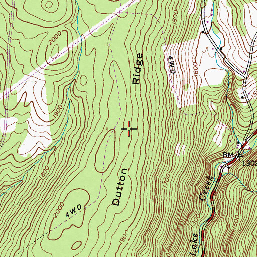 Topographic Map of Dutton Ridge, NY