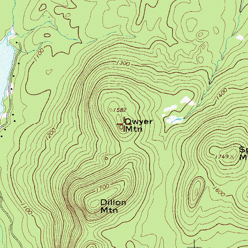 Topographic Map of Dwyer Mountain, NY