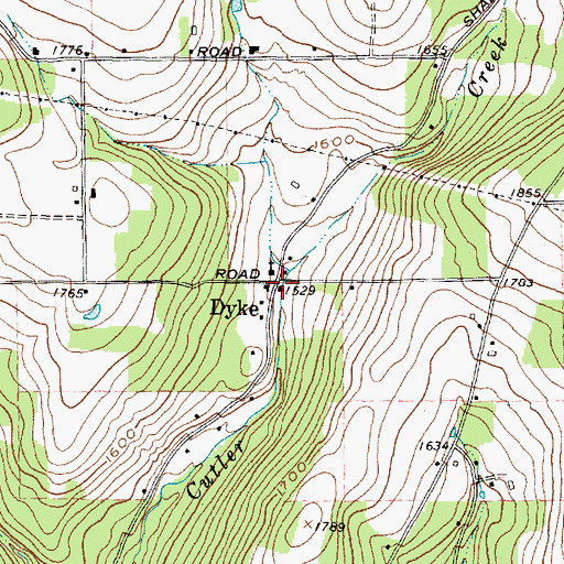 Topographic Map of Dyke, NY