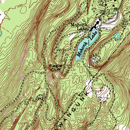 Topographic Map of Eagle Cliff, NY