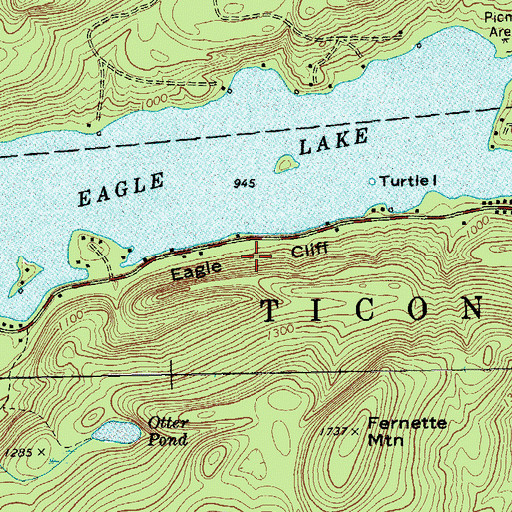 Topographic Map of Eagle Cliff, NY