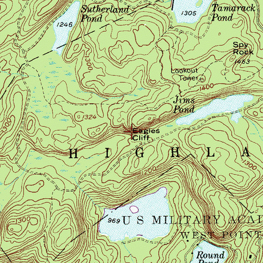 Topographic Map of Eagles Cliff, NY