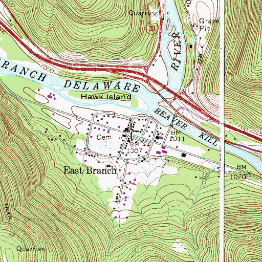 Topographic Map of East Branch, NY