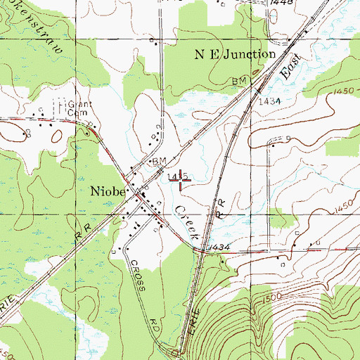 Topographic Map of East Branch Little Brokenstraw Creek, NY