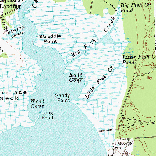 Topographic Map of East Cove, NY