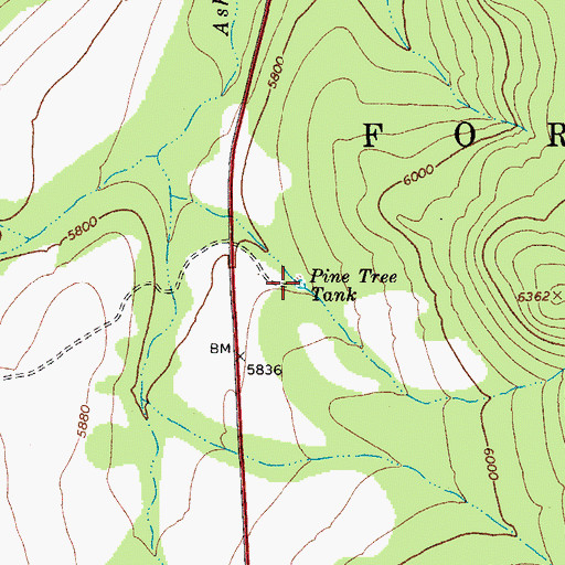 Topographic Map of Pine Tree Tank, AZ