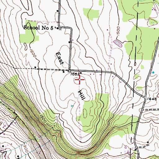 Topographic Map of East Hill, NY