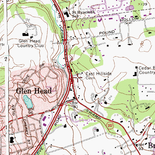 Topographic Map of East Hillside Cemetery, NY