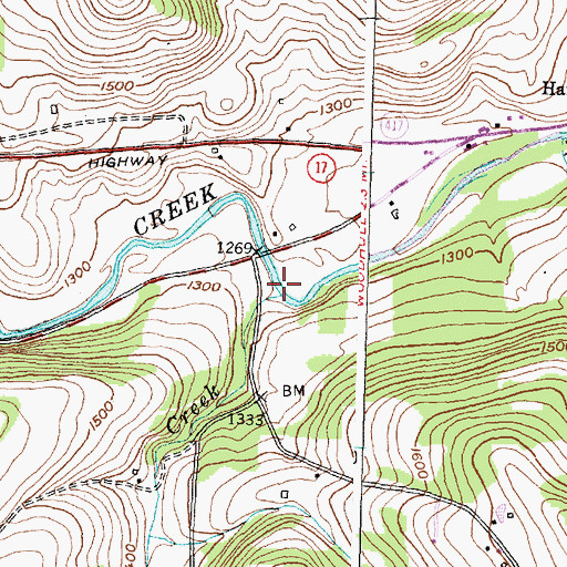 Topographic Map of East Lick Creek, NY