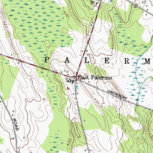 Topographic Map of East Palermo, NY