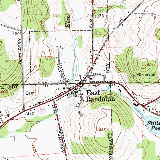Topographic Map of East Randolph, NY