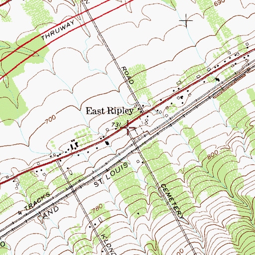 Topographic Map of East Ripley, NY