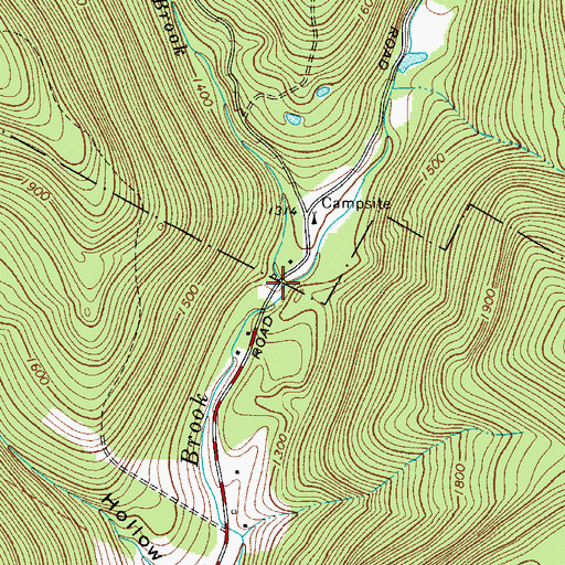 Topographic Map of East Trout Brook, NY