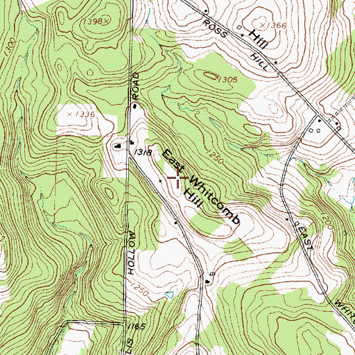Topographic Map of East Whitcomb Hill, NY