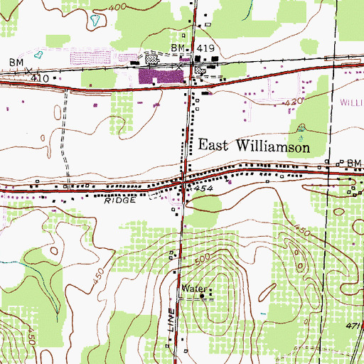 Topographic Map of East Williamson, NY