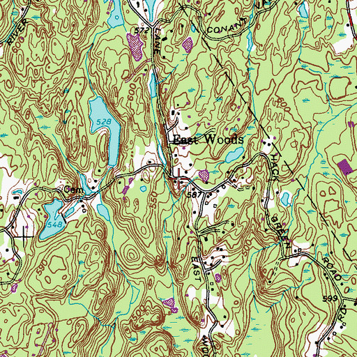 Topographic Map of East Woods, NY