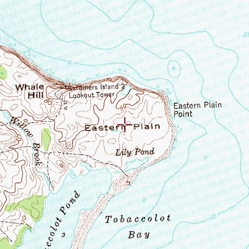 Topographic Map of Eastern Plain, NY