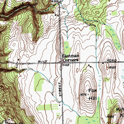 Topographic Map of Eastman Corners, NY