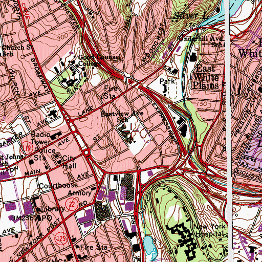 Topographic Map of Eastview Avenue School, NY