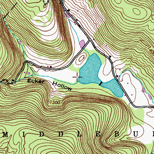 Topographic Map of Ecker Hollow, NY