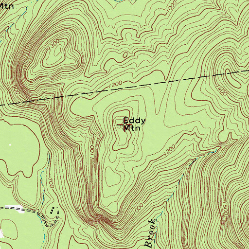 Topographic Map of Eddy Mountain, NY
