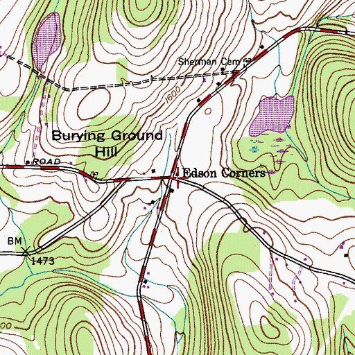 Topographic Map of Edson Corners, NY