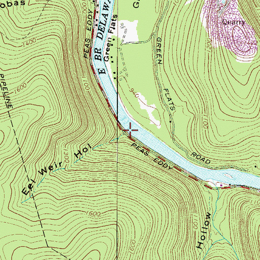 Topographic Map of Eel Weir Hollow, NY