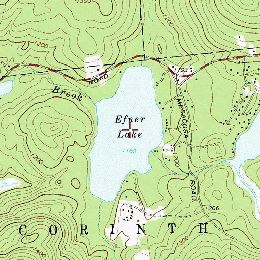 Topographic Map of Efner Lake, NY