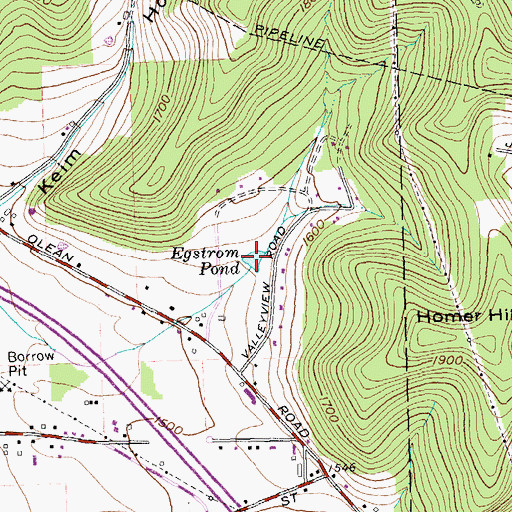 Topographic Map of Egstrom Pond, NY