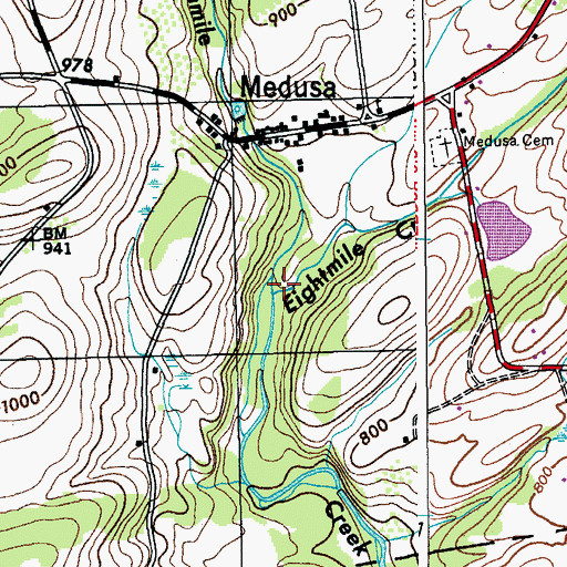 Topographic Map of Eightmile Creek, NY