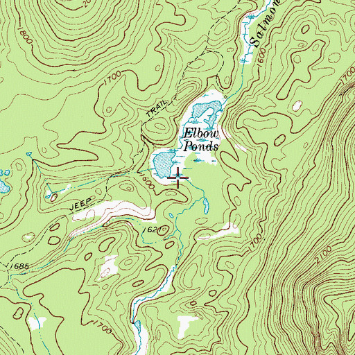 Topographic Map of Elbow Brook, NY