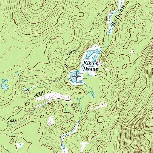 Topographic Map of Elbow Ponds, NY