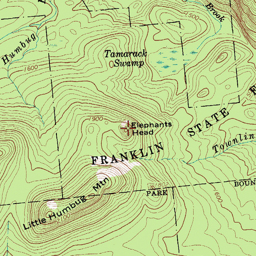 Topographic Map of Elephants Head, NY